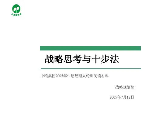 战略思考与十步法.ppt