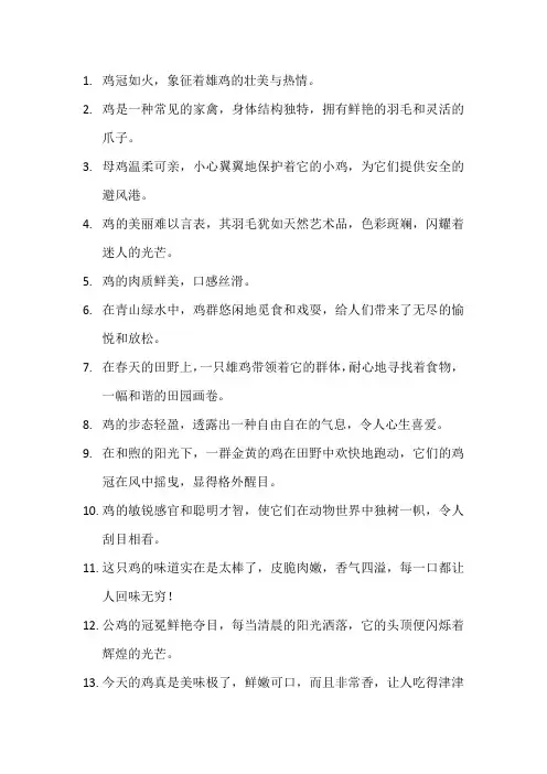 描写鸡的优美句子(3)