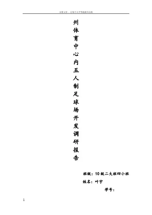 五人制足球场开发调研报告