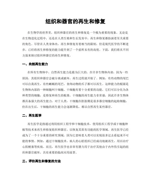 组织和器官的再生和修复