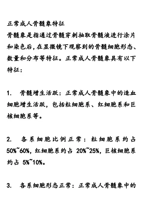 正常成人骨髓象特征