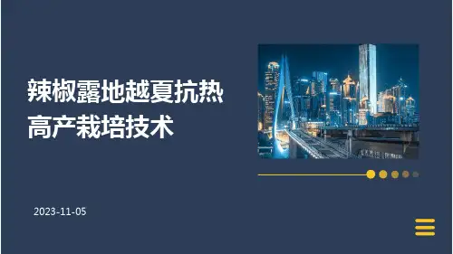 辣椒露地越夏抗热高产栽培技术