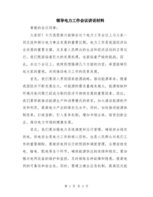 领导电力工作会议讲话材料
