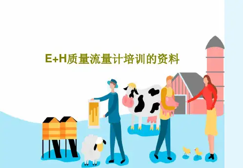 E+H质量流量计培训的资料PPT文档38页