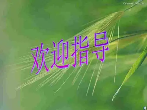 初一政治上学期感悟青春