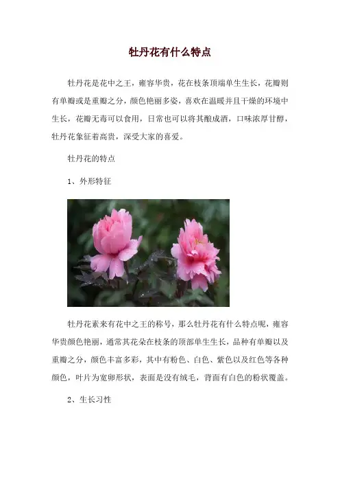 牡丹花有什么特点
