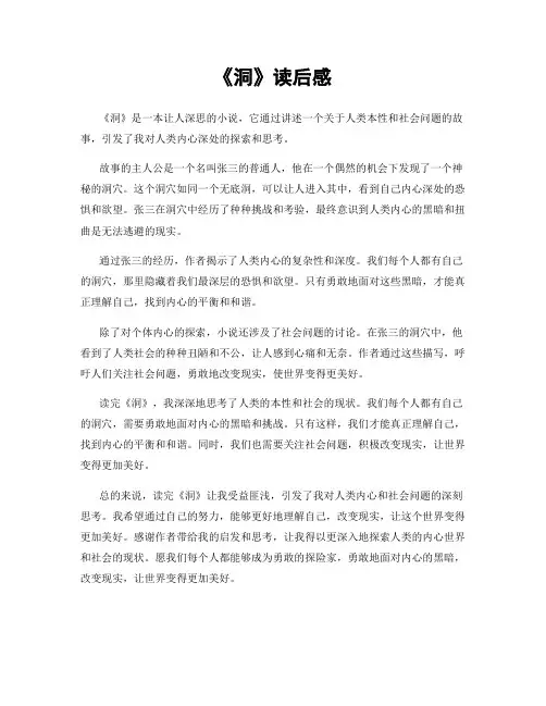 《洞》读后感