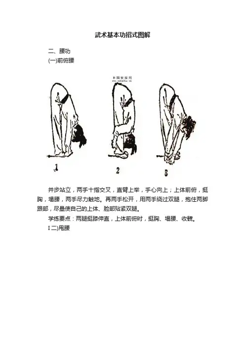 武术基本功招式图解