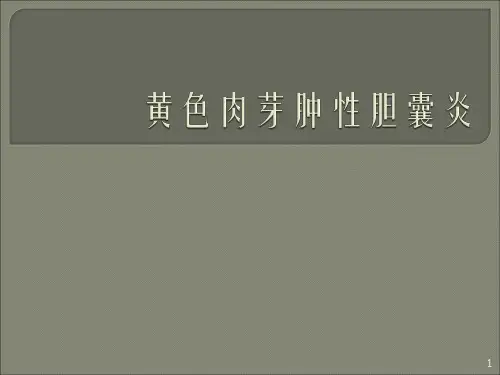 黄色肉芽肿性胆囊炎CT诊断ppt课件