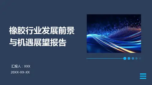 橡胶行业发展前景与机遇展望报告