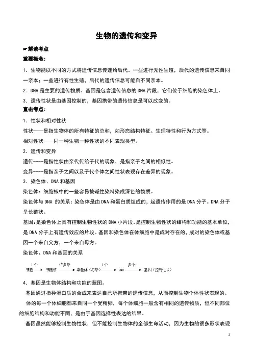 2019中考生物-专题10-生物的遗传和变异试题(含解析)