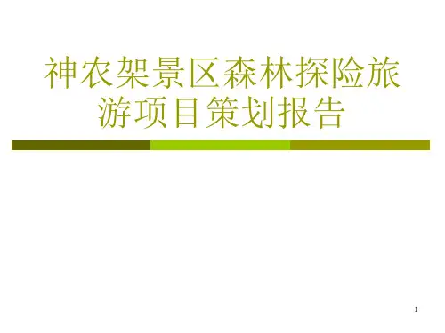 旅游项目策划作业PPT演示课件