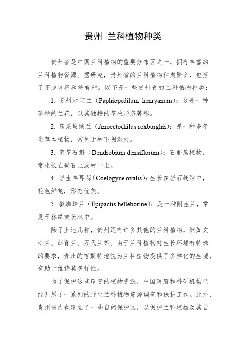 贵州 兰科植物种类