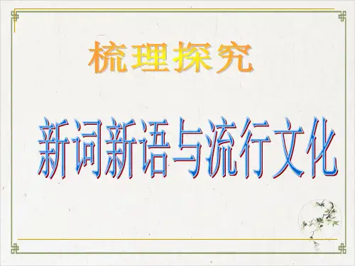 新词新语与流行文化PPT实用课件17 人教课标版