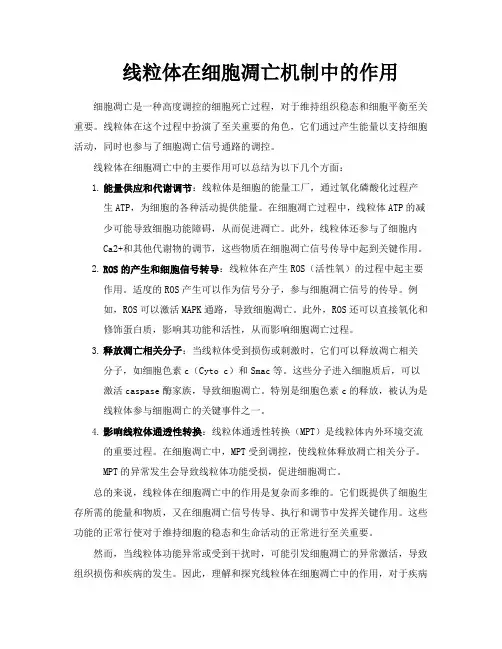 线粒体在细胞凋亡机制中的作用