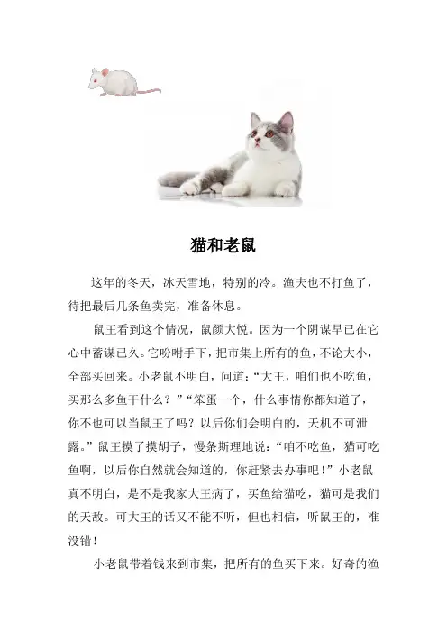 老鼠和猫看图写话 二年级上册