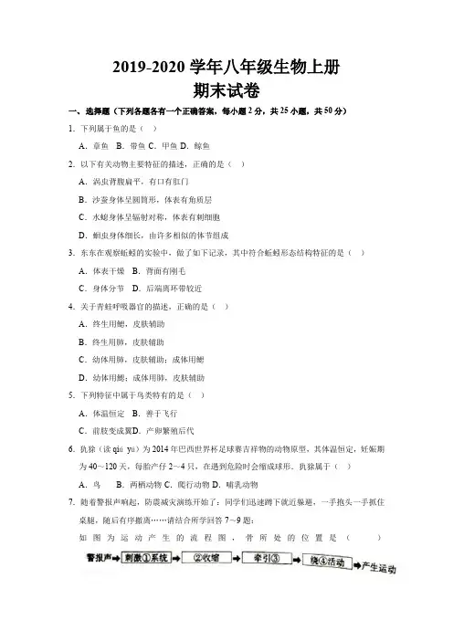 2019--2020学年最新人教版八年级生物上册期末考试试题及参考答案