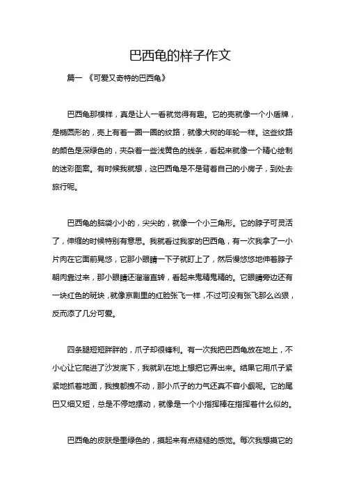 巴西龟的样子作文