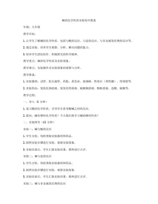 碱的化学性质实验初中教案