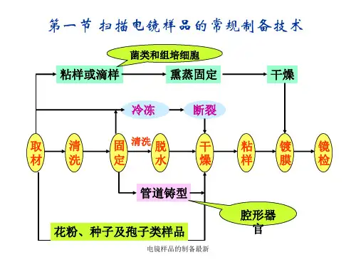 电镜样品的制备最新课件