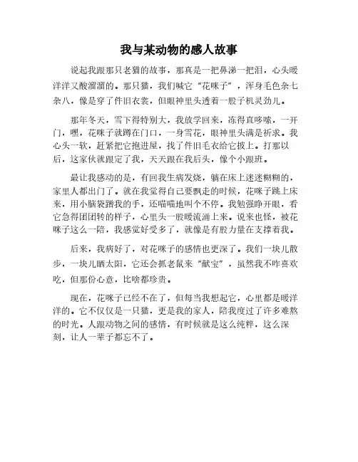 我和什么动物之间感动的故事作文450字