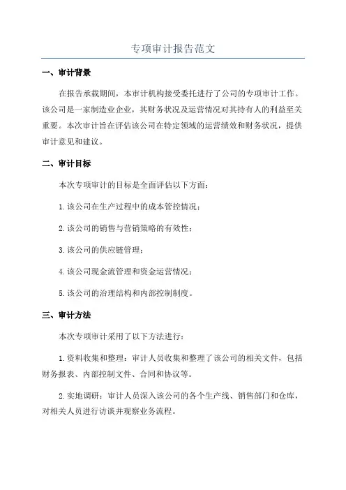 专项审计报告范文