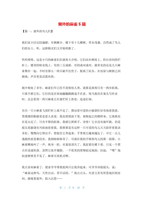 窗外的麻雀5篇