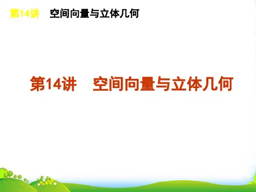 高考数学二轮三轮总复习专题课件 专题4第14讲 空间向量与立体几何 理 北师大