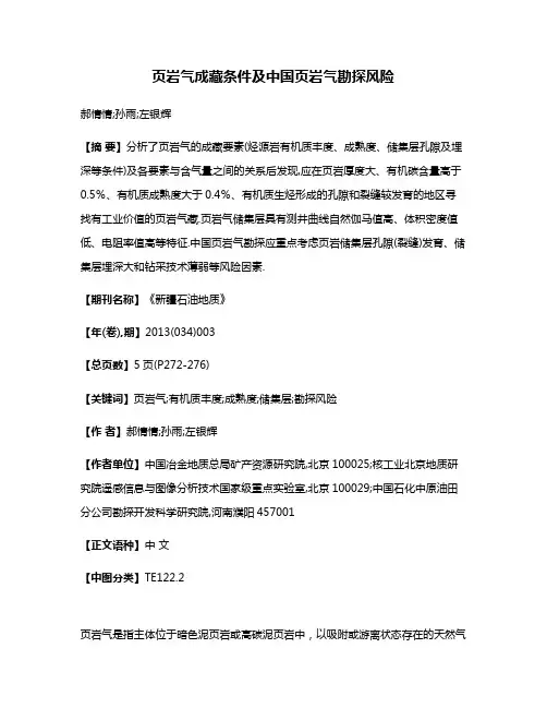 页岩气成藏条件及中国页岩气勘探风险