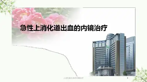 上消化道出血的内镜治疗课件