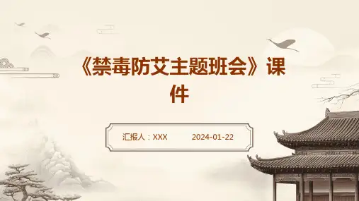 《禁毒防艾主题班会》课件