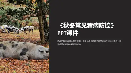 《秋冬常见猪病防控》课件