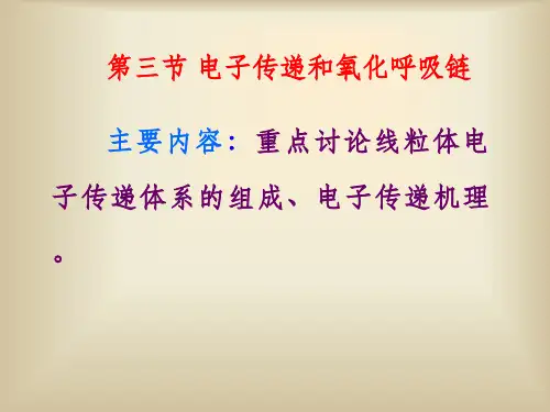  电子传递和氧化呼吸链