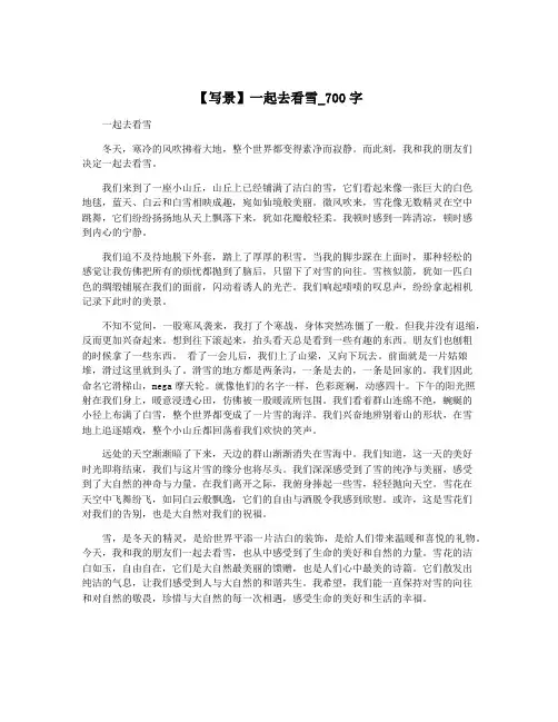 【写景】一起去看雪_700字
