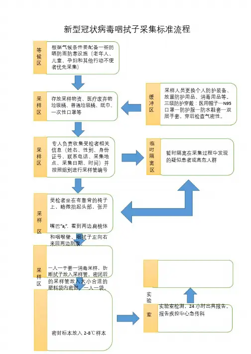 咽拭子样本采集标准流程