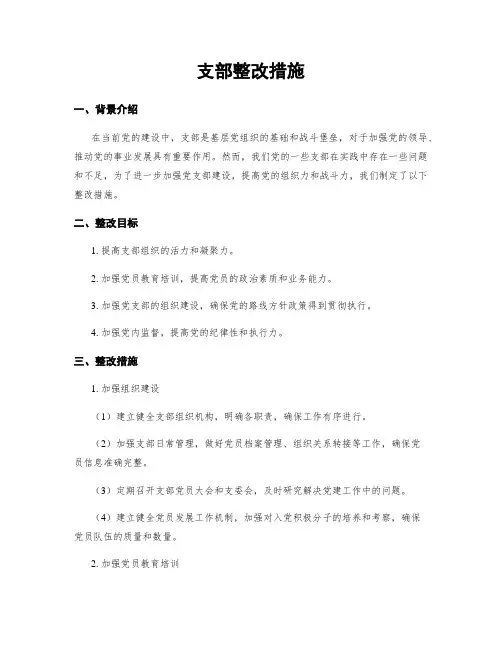 支部整改措施
