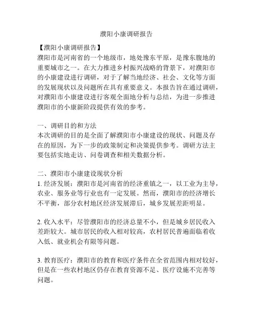 濮阳小康调研报告