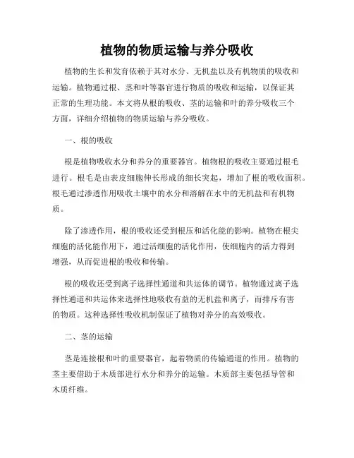 植物的物质运输与养分吸收