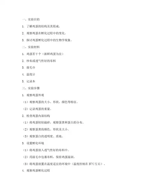 观察鸡蛋生物实验报告