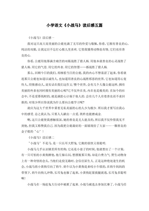 小学语文《小战马》读后感五篇