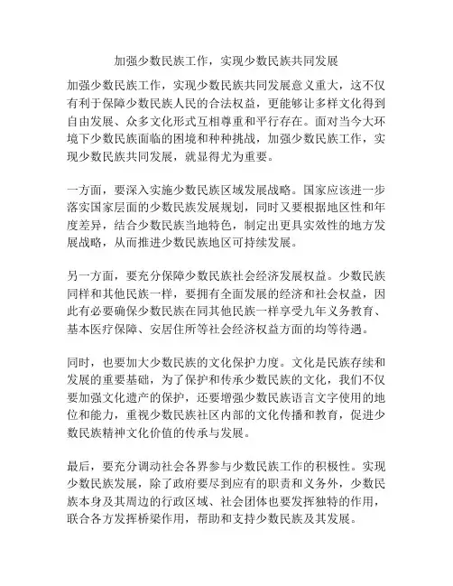 加强少数民族工作,实现少数民族共同发展