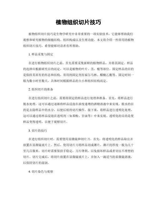 植物组织切片技巧