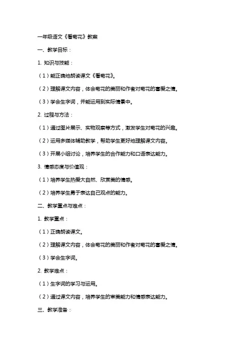 一年级语文《看菊花》教案