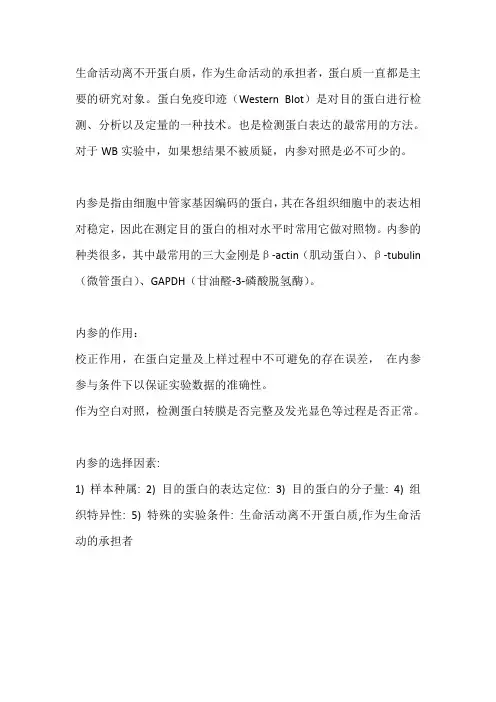 内参蛋白选择