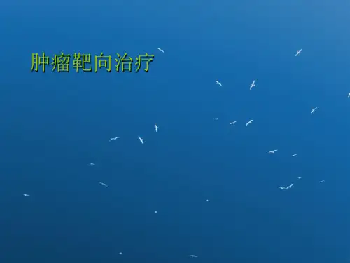 靶向治疗PPT课件