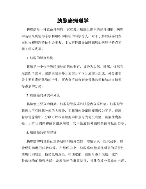 胰腺癌病理学