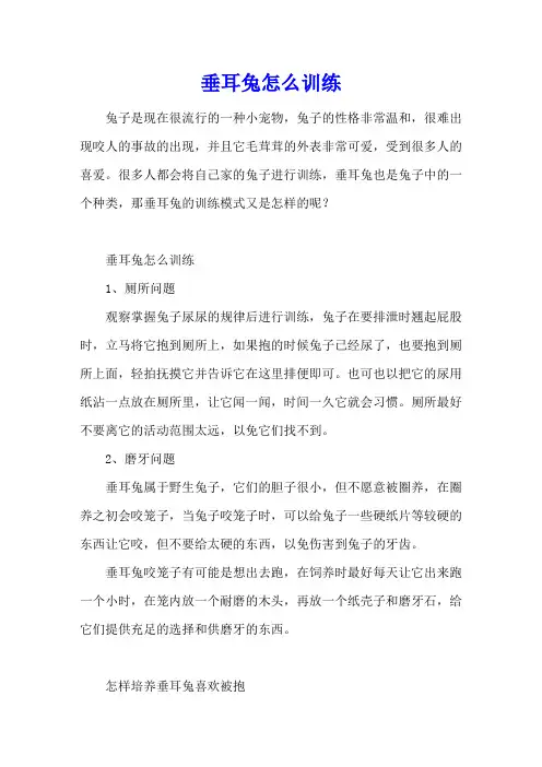垂耳兔怎么训练
