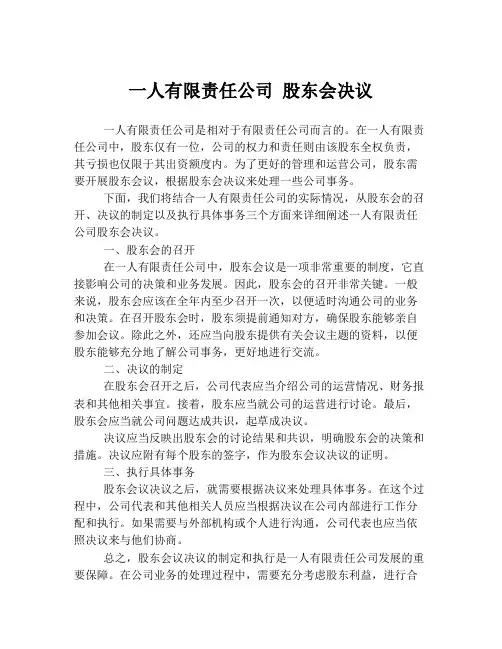 一人有限责任公司 股东会决议