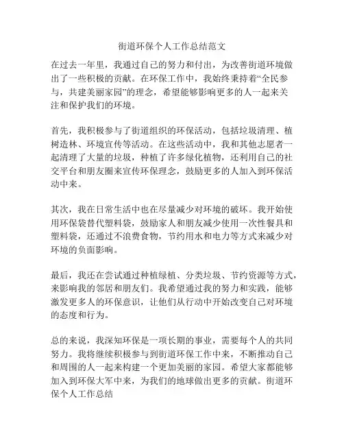 街道环保个人工作总结范文