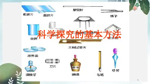 七年级生物上册1.2.2生物学研究的基本方法课件1新版北师大版